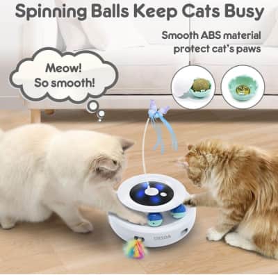 Interactive Cat Toy for rent in Kanata