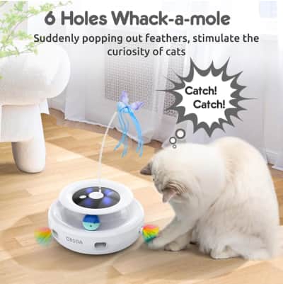 Interactive Cat Toy – photo 2 in Kanata