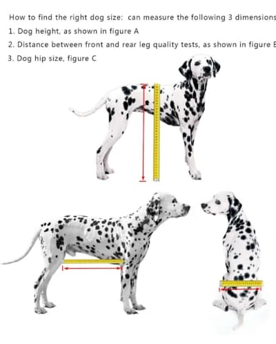 Medium Dog Care Chair For Back Legs – photo 3 in Kanata