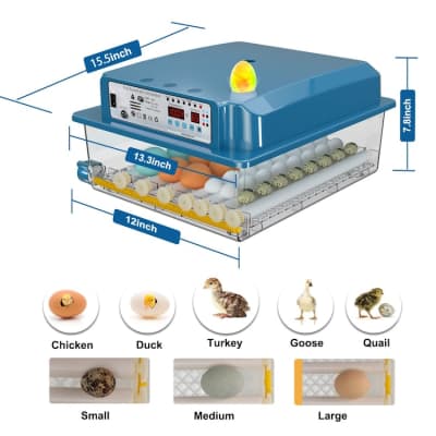 Egg Incubator with Automatic Turner for 36 Eggs for rent in Kanata