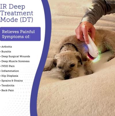 LED Light Therapy for Dogs, Pets & Animals for rent in Kanata