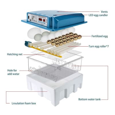 Egg Incubator with Automatic Turner for 36 Eggs – photo 7 in Kanata