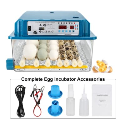 Egg Incubator with Automatic Turner for 36 Eggs – photo 8 in Kanata