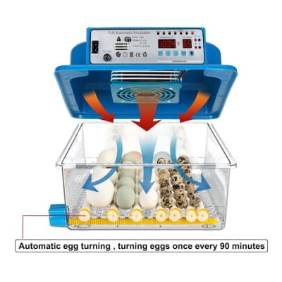 Egg Incubator with Automatic Turner for 36 Eggs – photo 9 in Kanata