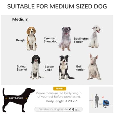 Foldable Dog Bike, Trailer Pet Cart, Bicycle Wagon – photo 4 in Kanata