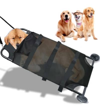 Max Loading 250lbs Large Dog Stretcher for rent in Kanata