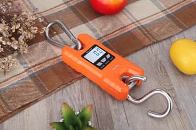 Mini Crane Scale | Klau Portable 500 kg / 1000 lb for rent in Kanata
