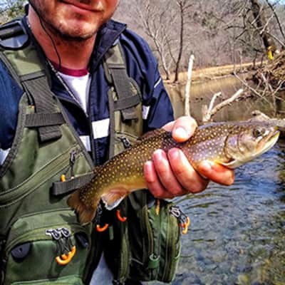 Fly Fishing Vest Mesh Vest. Adjustable Size – photo 5 in Kanata