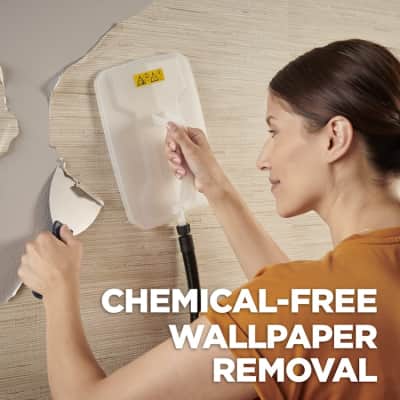Wagner Spraytech Wallpaper Steamer for rent in Nepean