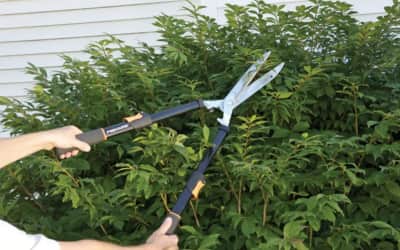 Hedge Shears – photo 2 in Nepean