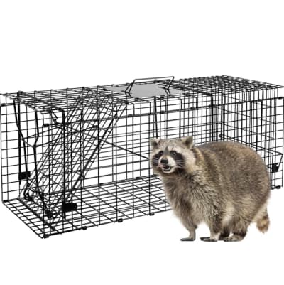 Medium Live Animal Trap for rent in Nepean