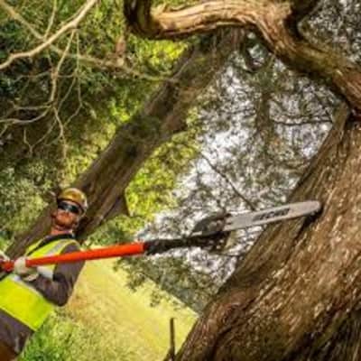 12’ - 16’ Echo Power Pruner With 8-inch Chain – photo 6 in Nepean