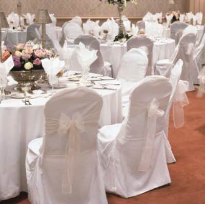 Classic White Polyester Banquet Chair Covers – photo 3 in Nepean
