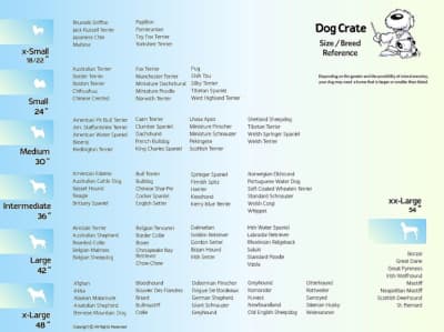 Dog & Animale Crate - Large Dog – photo 7 in Ottawa