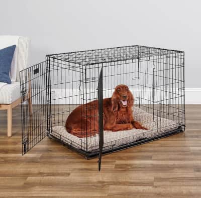 Dog & Animale Crate - Large Dog for rent in Ottawa