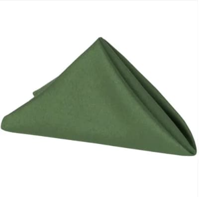 Polyester Napkin 20"x20" - Willow Green for rent in Nepean