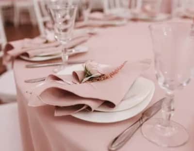Polyester 120" Round Tablecloth - Blush – photo 2 in Nepean