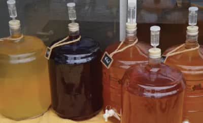 Wine Making – photo 2 in Ottawa