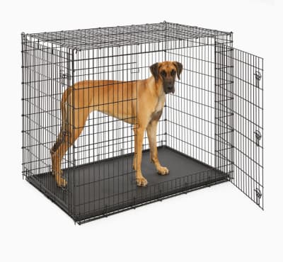 Double Extra Large Animal / Dog Crate for rent in Kanata