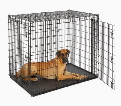 Double Extra Large Animal / Dog Crate – photo 3 in Kanata