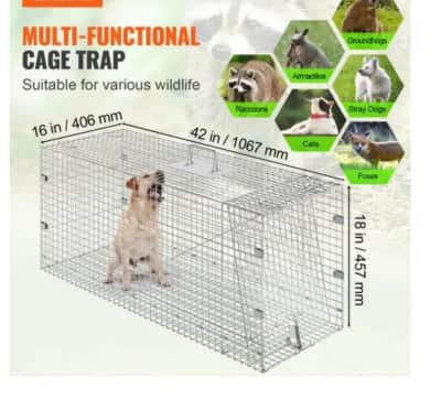 Animal Trap Rental – Orléans Wildlife Solutions – photo 3 in Orléans