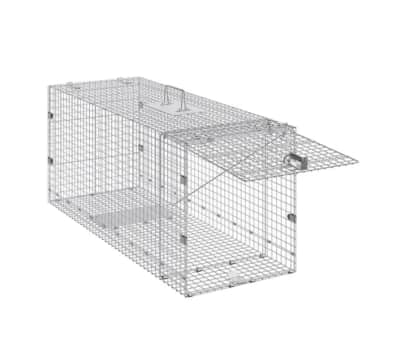Animal Trap Rental – Orléans Wildlife Solutions – photo 9 in Orléans