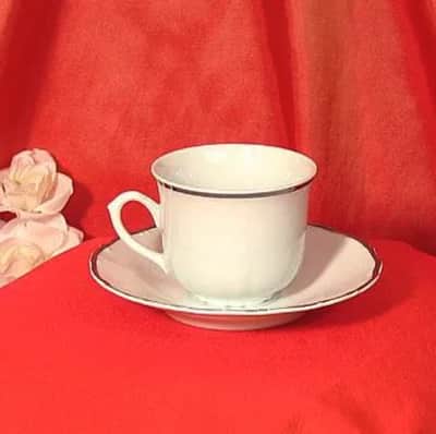 SDS cup - 6oz for rent in Orléans