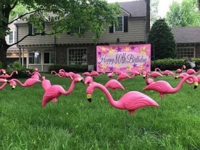 Flamingo Lawn Ornaments for rent in Kanata