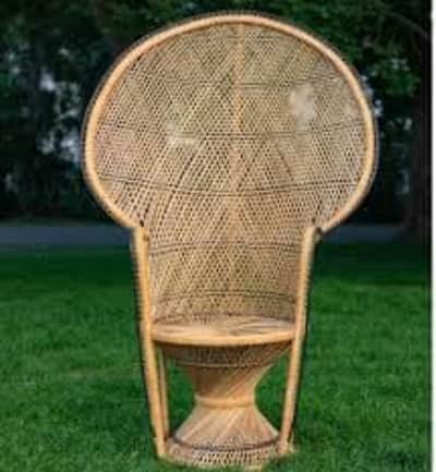Elegant Wicker Peacock Chair Rental – Ottawa Events – photo 2