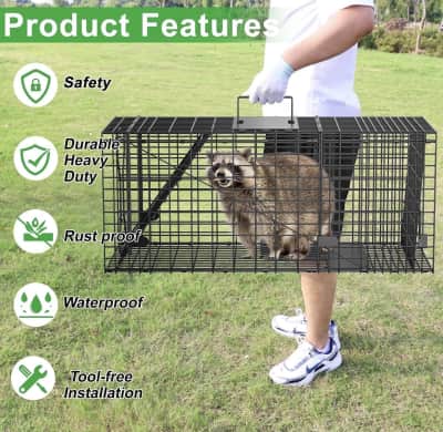 Humane Live Animal Cage Trap – photo 4 in Ottawa