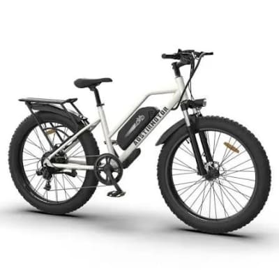 Powerful eBike in Nepean