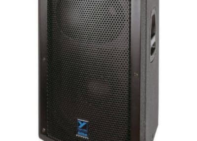 PA Speaker NX 55 1000 Watt Speaker
