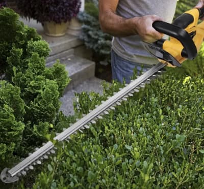 Heavy-Duty Hedge Trimmer Rental 