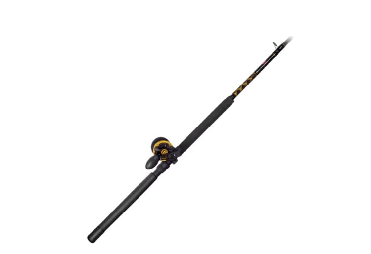 PENN Squall 30 and 40 Lever Drag Conventional Rod/Reel Combo for rent in Broomall