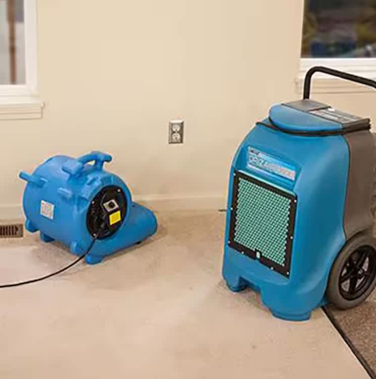 Carpet Blower – photo 4 in Broomall