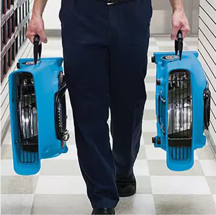 PRO Carpet Blower – photo 4 in Broomall
