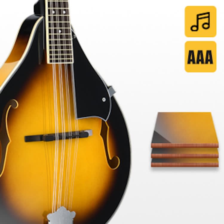 Donner A Style Mandolin Instrument Sunburst – photo 5 in Kanata
