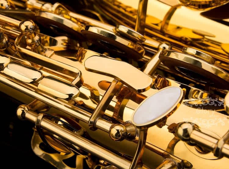 Glory Professional Alto Eb SAX Saxophone Gold Laquer Finish – photo 7 in Kanata