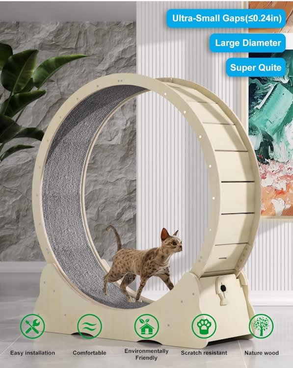 Cat Wheel Exerciser for Indoor Cats – photo 2 in Kanata