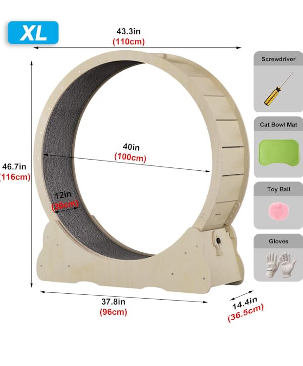 Cat Wheel Exerciser for Indoor Cats – photo 5 in Kanata