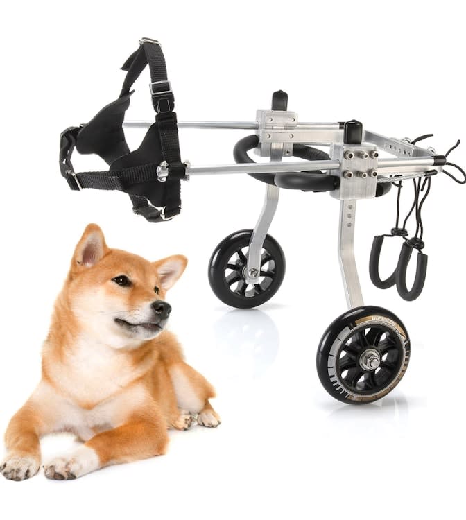 Large Dog Care Chair For Back Legs for rent in Kanata
