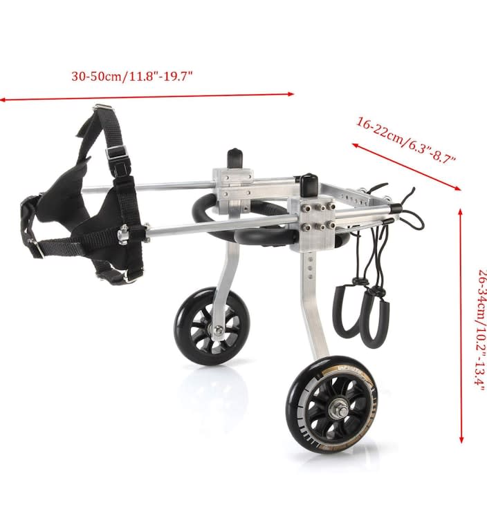 Medium Dog Care Chair For Back Legs – photo 4 in Kanata