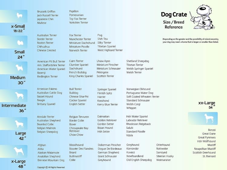 Large Dog / Animal Crate – photo 8 in Kanata