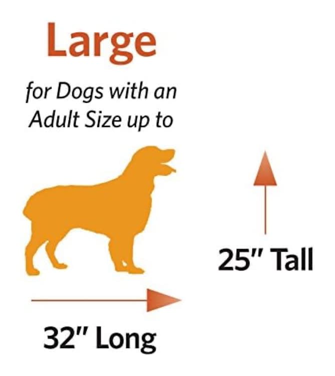Large Dog / Animal Crate – photo 9 in Kanata