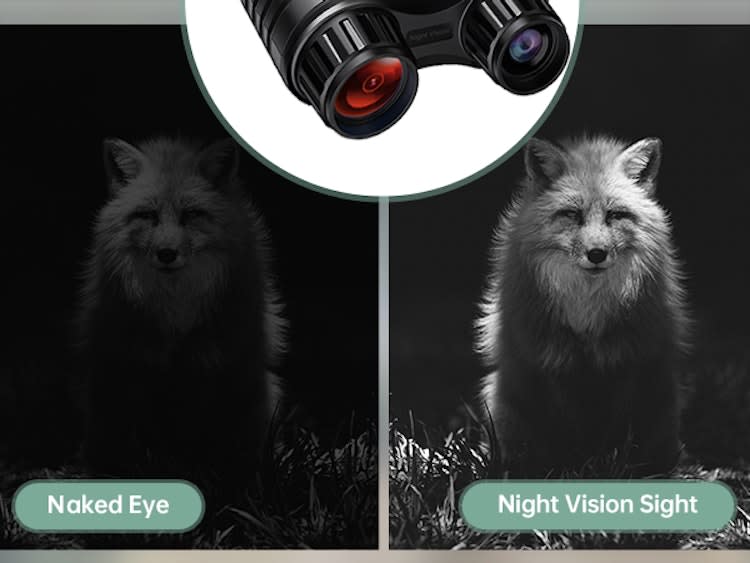 4K Night Vision Goggles / Binoculars – photo 3 in Ottawa
