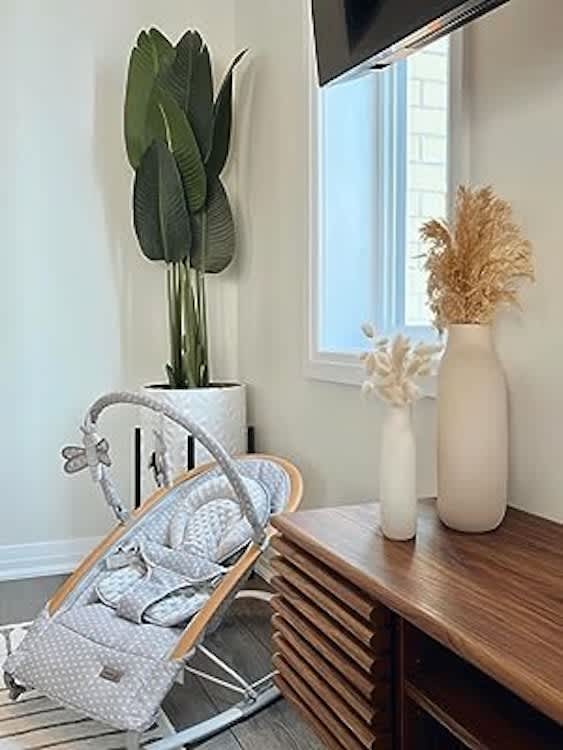 Baby Rocker for rent in Ottawa