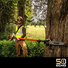 12’ - 16’ Echo Power Pruner With 8-inch Chain – photo 2 in Nepean