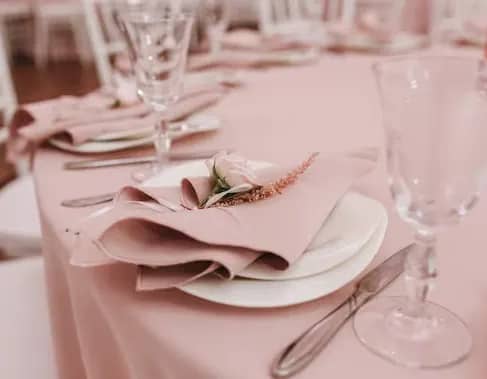 Polyester 120" Round Tablecloth - Blush – photo 2 in Nepean