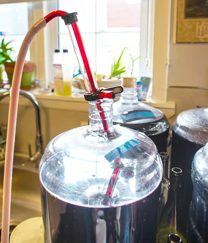 Wine Making – photo 3 in Ottawa