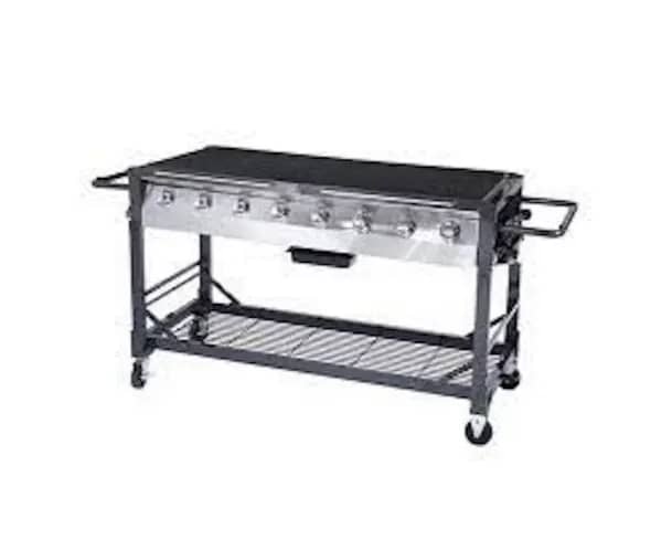 Bbq - 5 Foot for rent in Ottawa